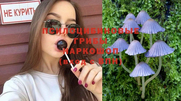 стафф Покачи